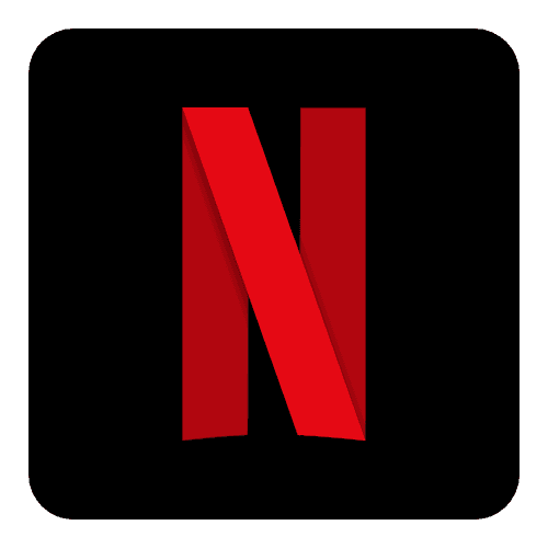 Netflix Personal Profile 6 Month