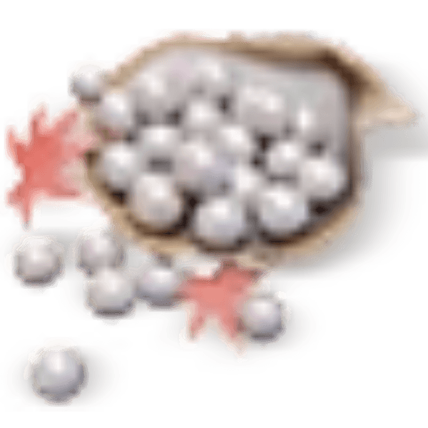 3000 Echo Beads